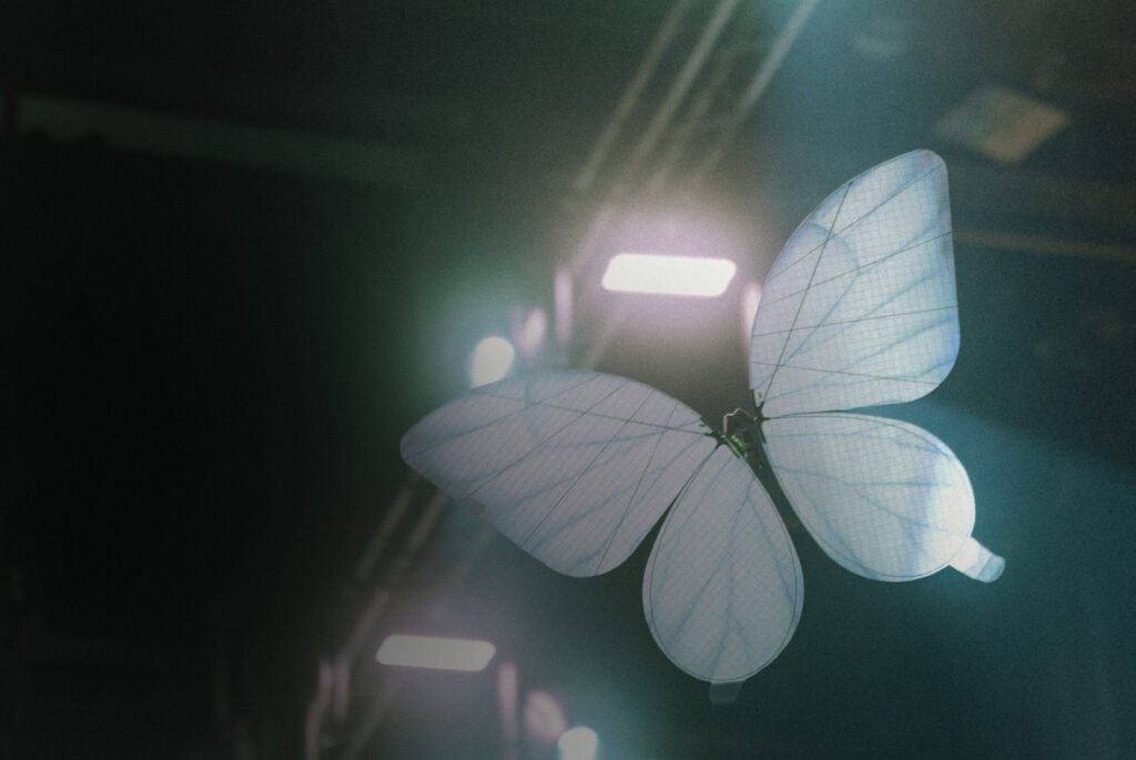 Radio-controlled butterfly