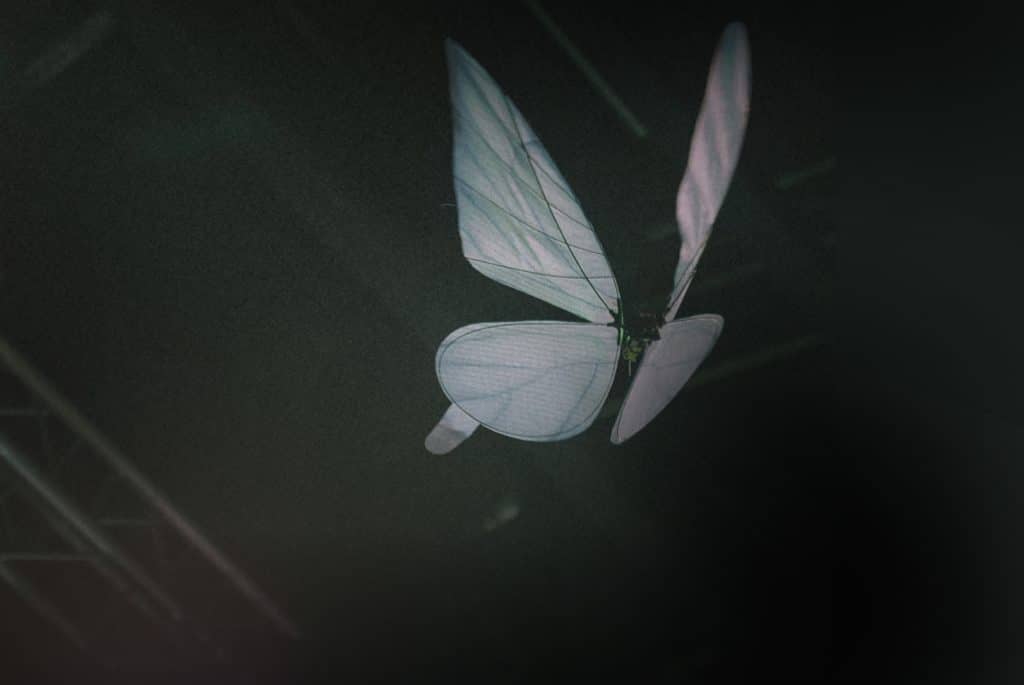 Custom butterfly drones