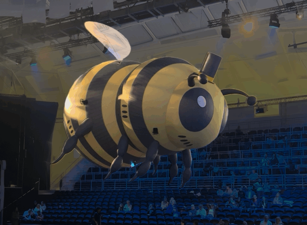 Custom airship